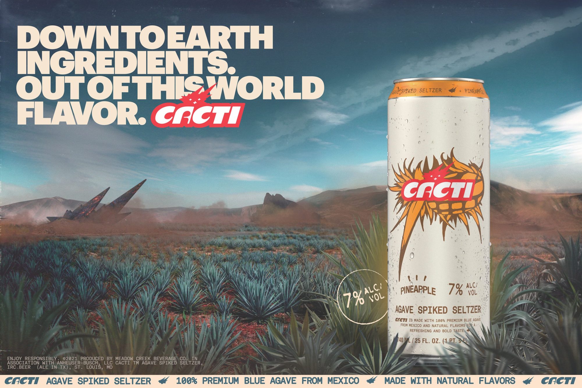 Cacti3x2SingleCan25ozLG
